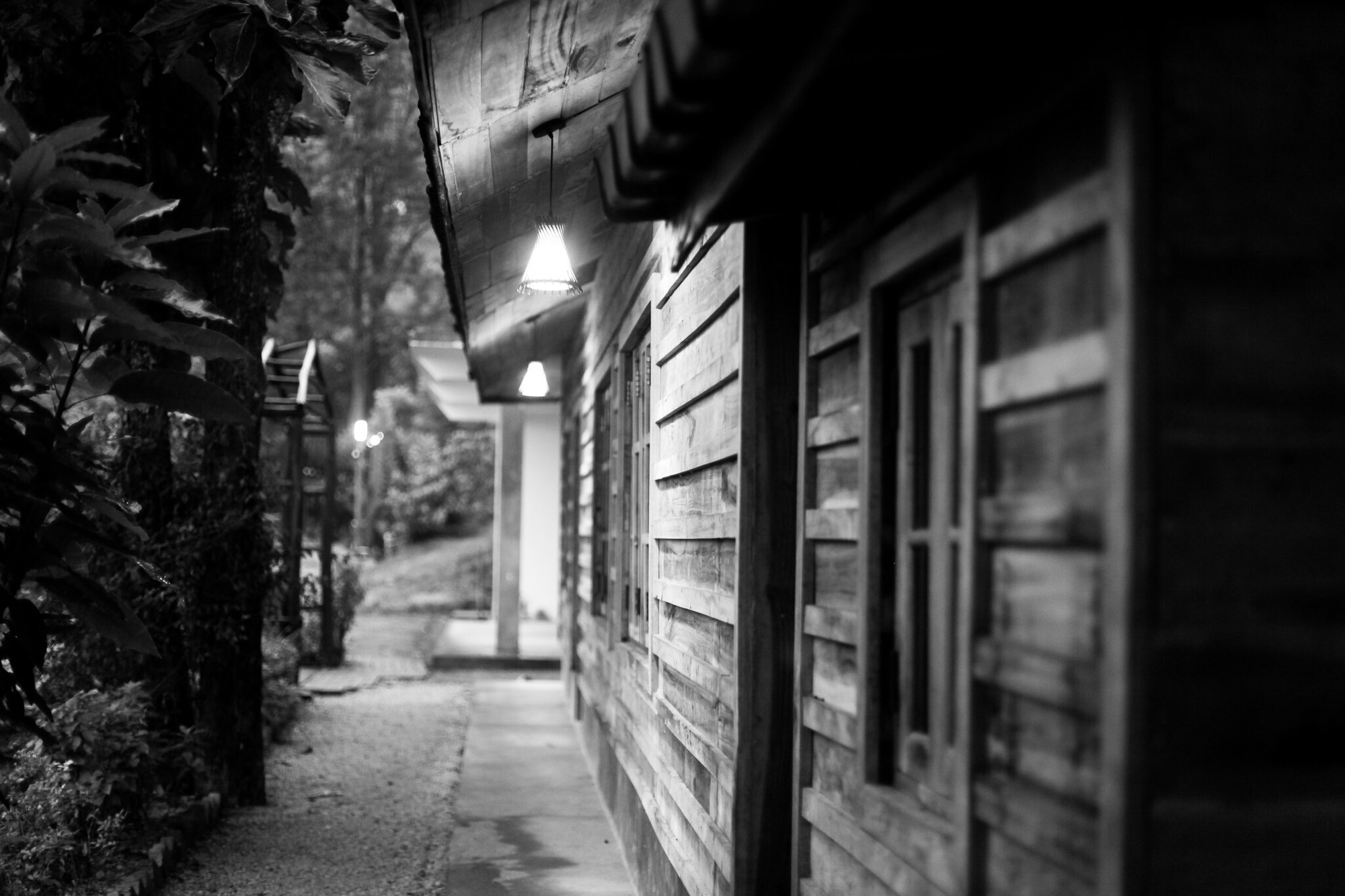 IMG_1337-2