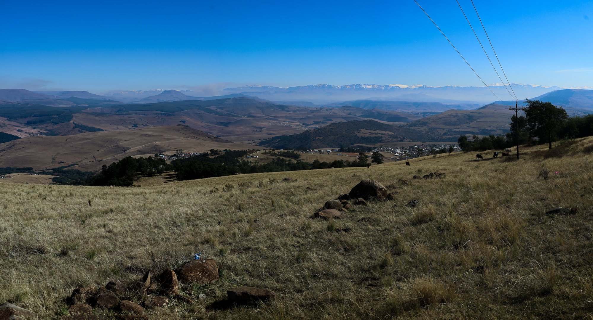 IMG_6885-Pano