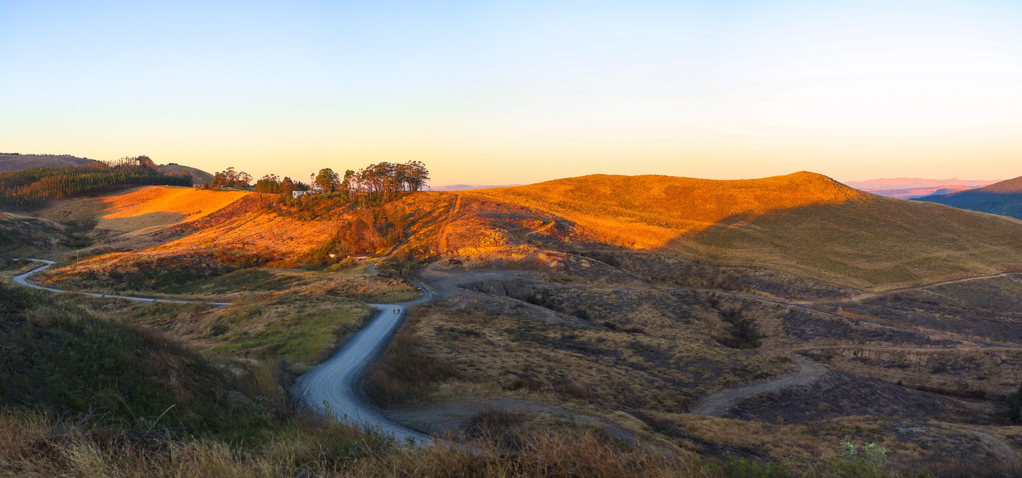 IMG_7079-Pano